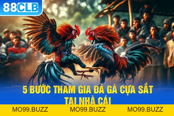 Đá Gà Cựa Sắt - Tìm Hiểu Quy Định Và Luật Chơi Quan Trọng - KUBET