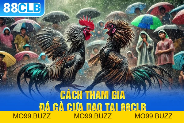 Đá Gà Cựa Dao Tại KUBET – Đấu Trường Hấp Dẫn Cho Cược Thủ - KUBET