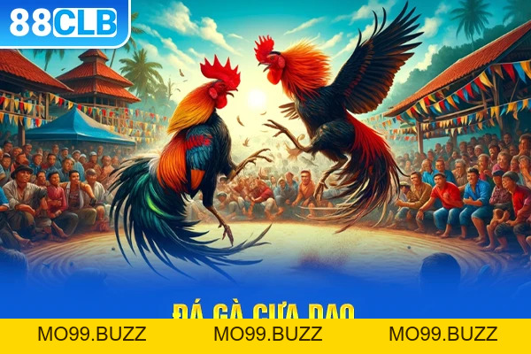 Đá gà KUBET - Đá gà cựa sắt, cựa dao & kiến thức nuôi gà