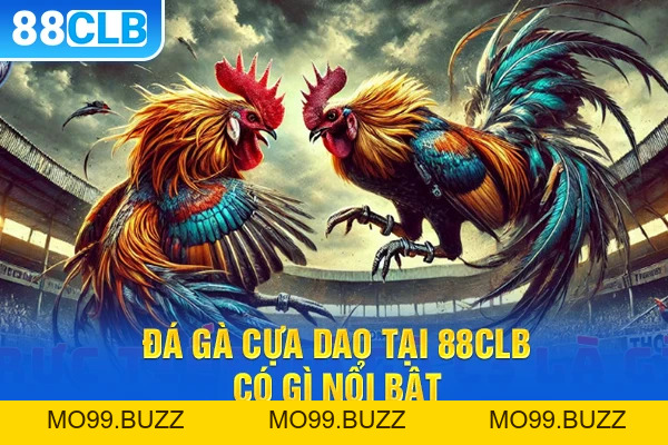 Đá Gà Cựa Dao Tại KUBET – Đấu Trường Hấp Dẫn Cho Cược Thủ - KUBET