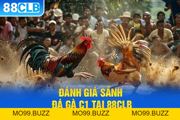 Đá gà c1 – Bí Quyết Hạ Gục Đối Thủ Nhanh Từ KUBET  - KUBET