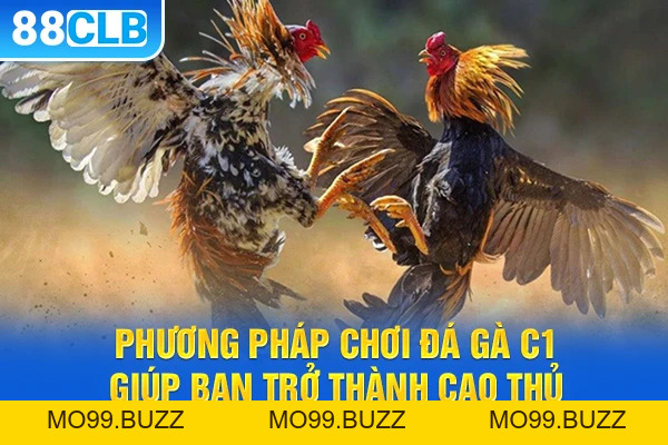 Đá gà c1 – Bí Quyết Hạ Gục Đối Thủ Nhanh Từ KUBET  - KUBET
