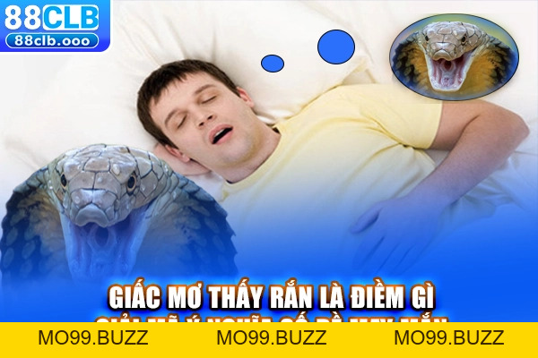 Giấc Mơ Thấy Rắn Là Điềm Gì? Ý Nghĩa Và Số Đề May Mắn - KUBET
