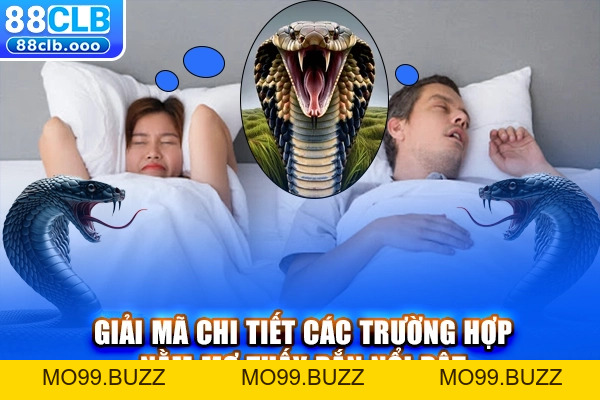 Xổ số KUBET - Đa dạng thể loại xổ số, Giải mã giấc mơ chuẩn