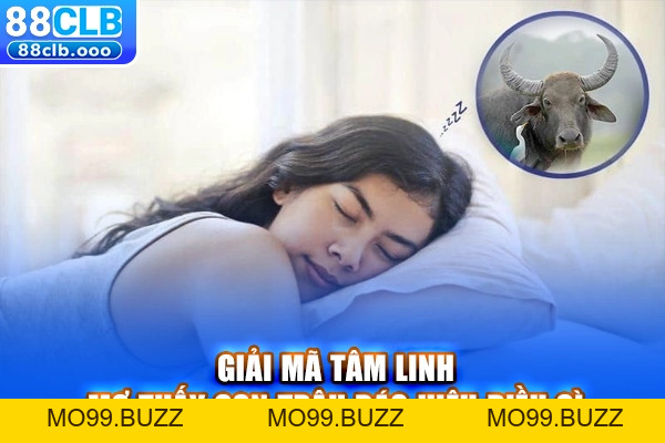 Mơ Thấy Con Trâu Điềm Gì? Giải Mã & Con Số May Mắn - KUBET