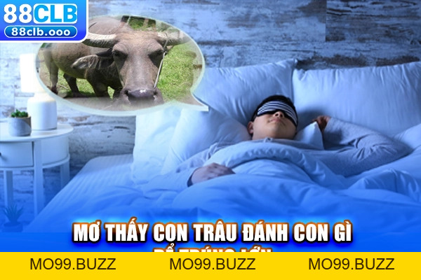 Mơ Thấy Con Trâu Điềm Gì? Giải Mã & Con Số May Mắn - KUBET