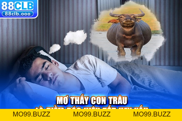 Mơ Thấy Con Trâu Điềm Gì? Giải Mã & Con Số May Mắn - KUBET