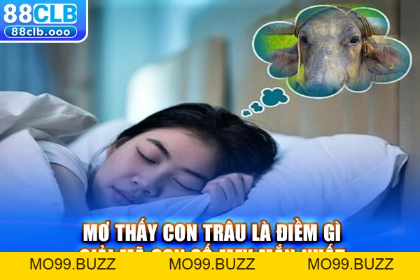 Xổ số KUBET - Đa dạng thể loại xổ số, Giải mã giấc mơ chuẩn